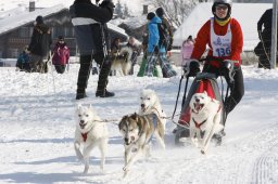 Lenk 2012 SM